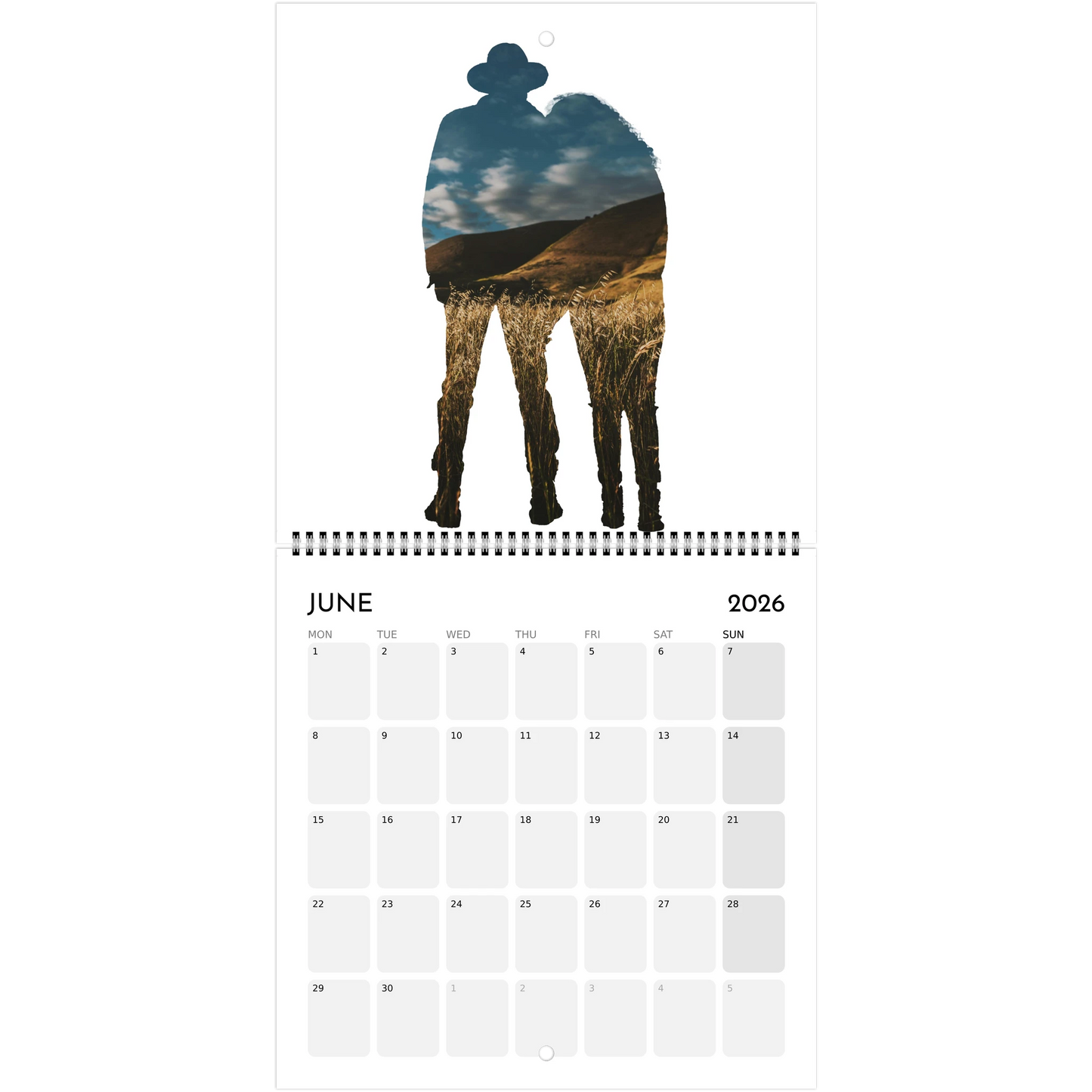 cc20b286-88dc-4d60-9179-65b9f8f03b4b