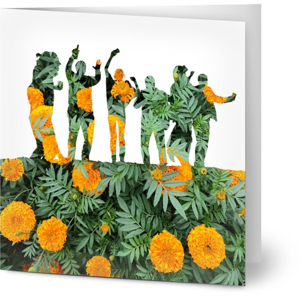 Pack of 10 Greeting Cards Celebration